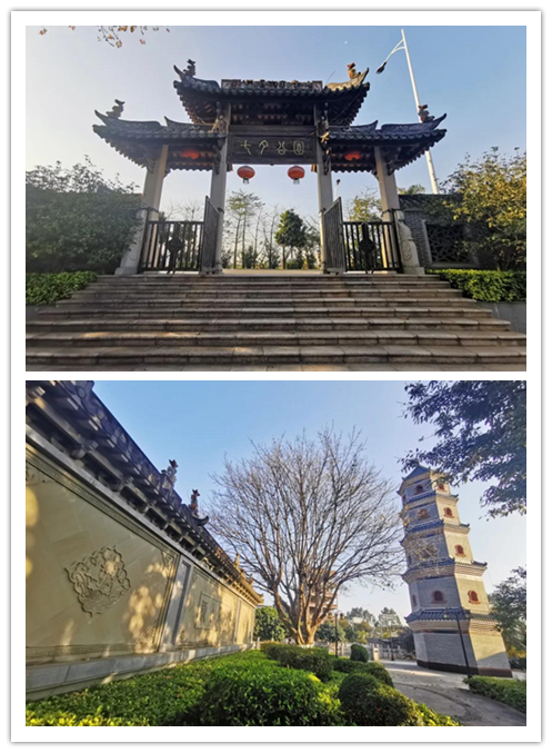 水乡新城望牛墩 大华发展好家园